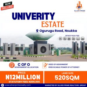 nsukka property