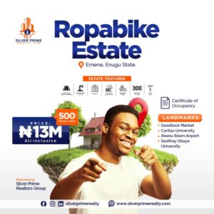 enugu property with c of o